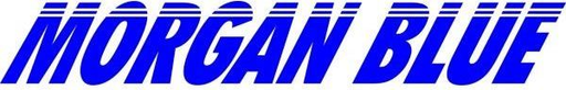 Morgan Blue logo